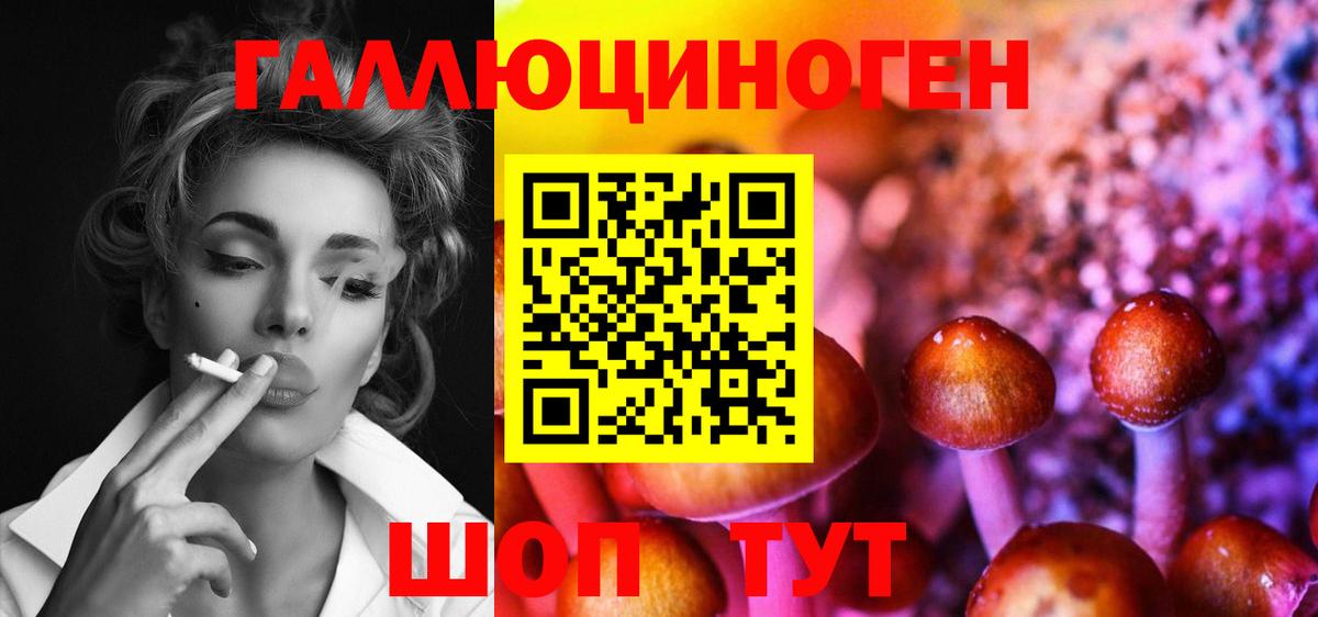 Галлюциногенные грибы GOLDEN TEACHER  купить наркотики цена  Татарск  Вход с VPN 